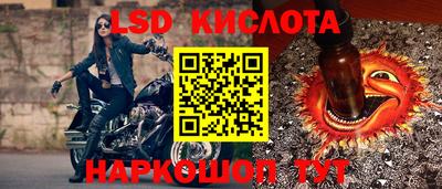 PSILOCYBIN Кинель