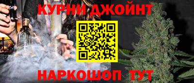 дурь Кингисепп