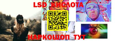 гашик Кимры
