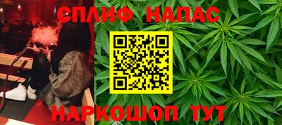 дурь Кингисепп