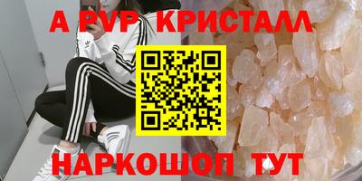 PSILOCYBIN Кинель