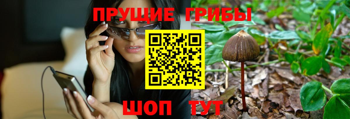 Галлюциногенные грибы прущие грибы Трёхгорный