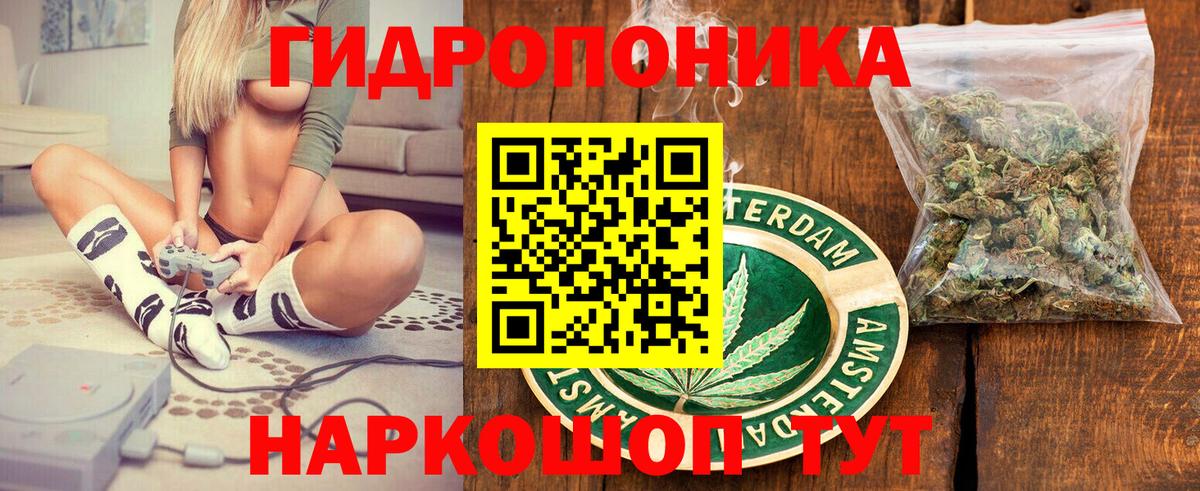 Шишки марихуана планчик Трёхгорный